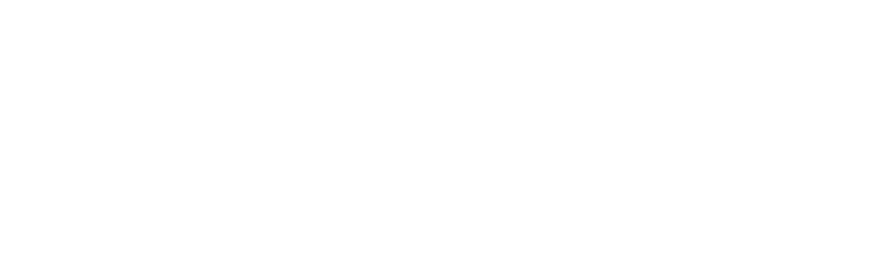 Nutcracker logo